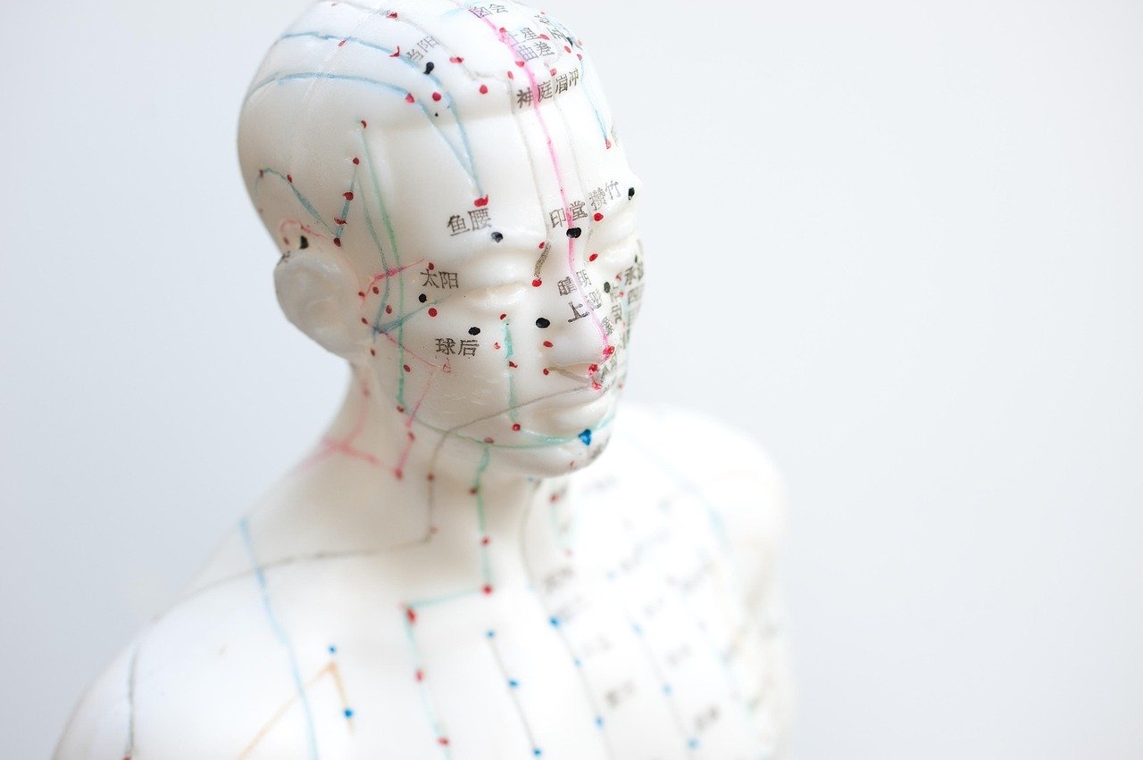 puntos de cabeza y cara en un modelo de acupuntura