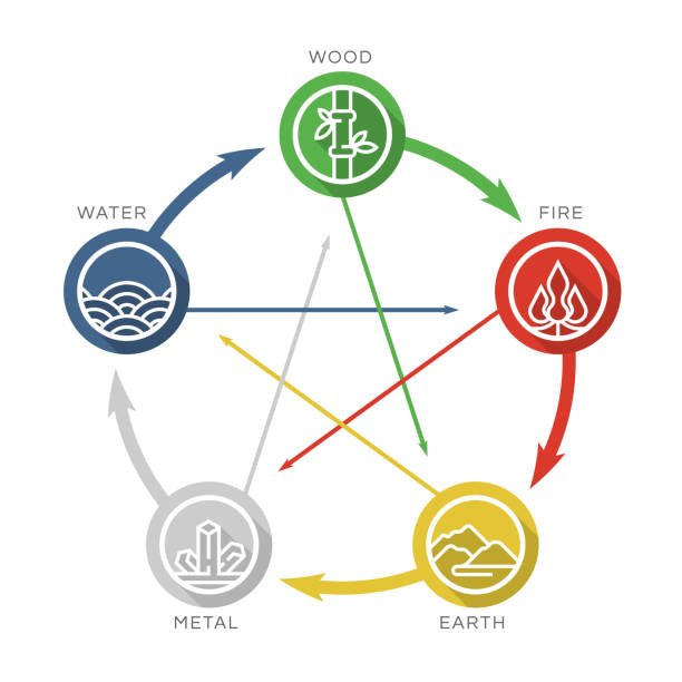 Bai Hui Du 20: El Punto de las Cien Reuniones en Acupuntura y su Profundo Significado Espiritual 5 los 5 elementos y el punto bai hi du 20