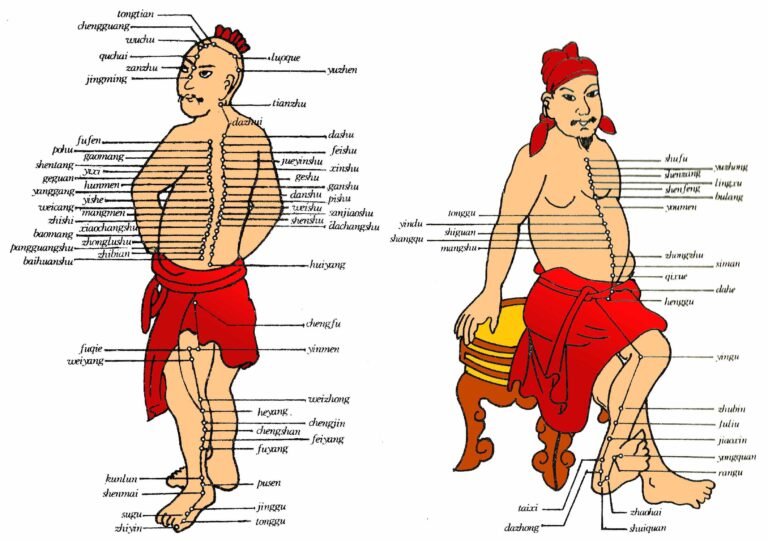 Acupuntura para vejiga hiperactiva: 1 visión desde la Medicina Tradicional China