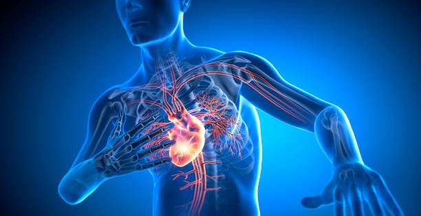 1 Prevención del Infarto con Medicina China Tradicional 3 fundamentos fisiológicos y energéticos del infarto al miocardio