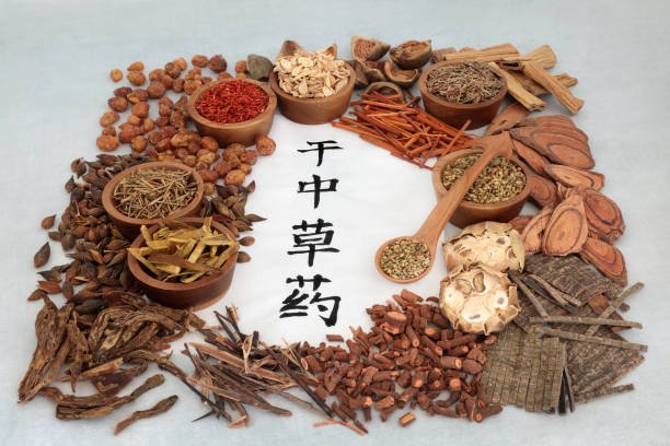 Bursitis y Tendinitis del Bíceps: una visión desde la Medicina Tradicional China 6