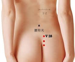 Acupuntura para vejiga hiperactiva: 1 visión desde la Medicina Tradicional China 7