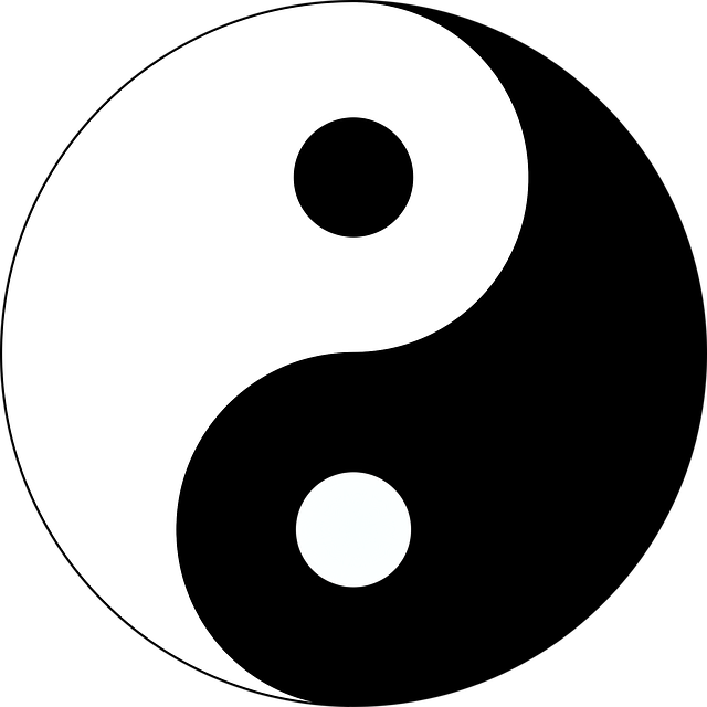 taijitu- el yin y el yang el gran símbolo de la medicina china
