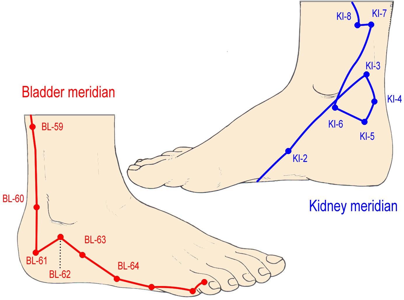 Punto KD3 Taixi en el tobillo — entre el maléolo interno y el tendón de Aquiles, meridiano del Riñón
