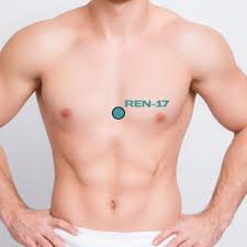 el altar del corazon