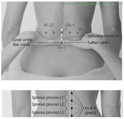 Diagrama anatómico clásico chino — el Riñón como territorio vivo, agua y fuego
