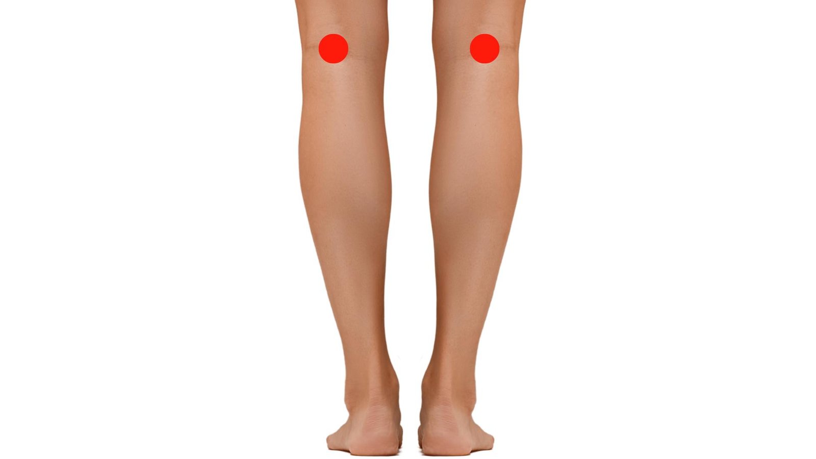 Punto BL40 Weizhong en el hueco poplíteo — punto maestro de la espalda en el pliegue de la rodilla