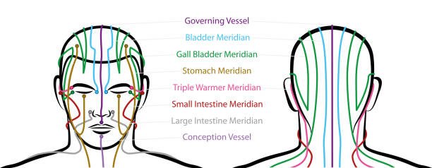 Mapa de meridianos Yang que atraviesan el rostro – Medicina Tradicional China y parálisis facial periférica